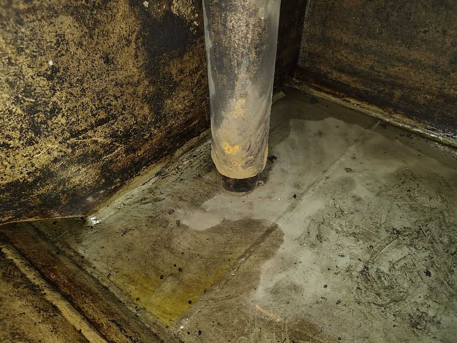 Fuel oil tank inspection